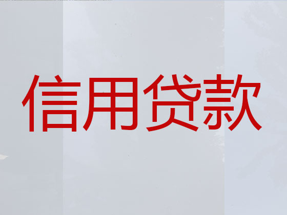 陇南信用贷款中介